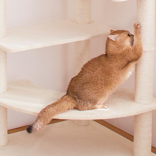 多頭用大きなダブルハンモックタワー（高さ170cm　据え置き型　多頭飼い　大型猫） バリバリ研げる縄柱
