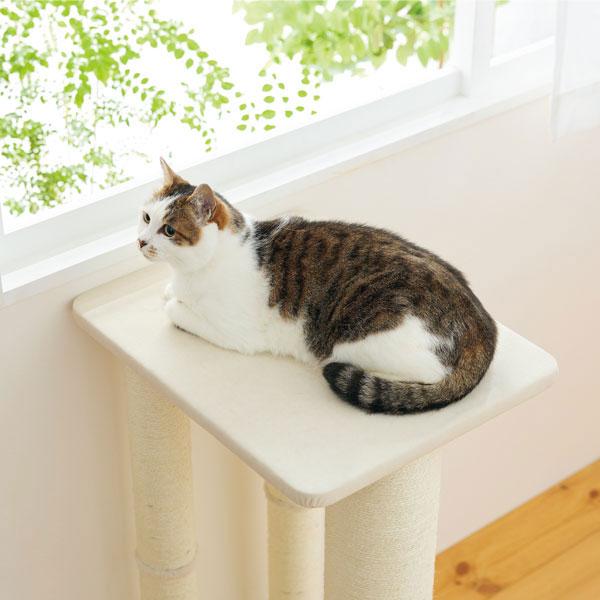 窓辺でまったり日向ぼっこミニタワー ホワイト<br>天面は広々50㎝×40㎝でのびのびくつろげます。