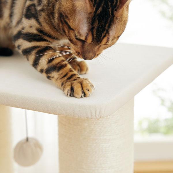 窓辺でまったり日向ぼっこミニタワー 引っ掻きに強い生地を採用。