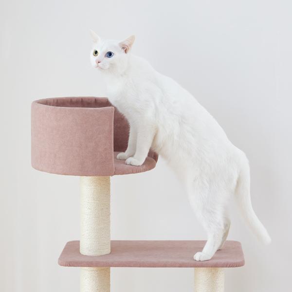 のぼりやすいらせんステップタワー（高さ119cm 据え置き型 シニア猫 子猫） カップをバリアフリー化！カップ入口の段差を無くすことで、出入りしやすくなりました。