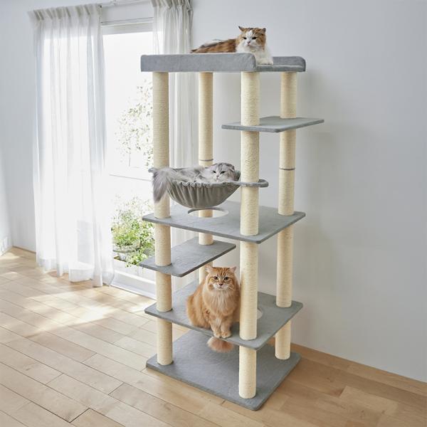 大きな天井ベッドのハイタワー（高さ171cm　据え置き型　多頭飼い　大型猫） ライトグレー / 3匹のっても広々♪