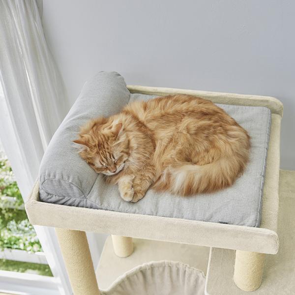 大きな天井ベッドのハイタワー（高さ171cm　据え置き型　多頭飼い　大型猫） アイボリー<br>※ベッドは別売りです。