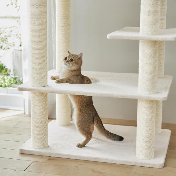 大きな天井ベッドのハイタワー（高さ171cm　据え置き型　多頭飼い　大型猫） くぐったり、飛び出したりできる通り穴付き。