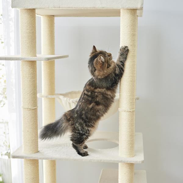 大きな天井ベッドのハイタワー（高さ171cm　据え置き型　多頭飼い　大型猫） 最長76cmの麻縄柱。丈夫な麻縄で思いっきり爪とぎができます。