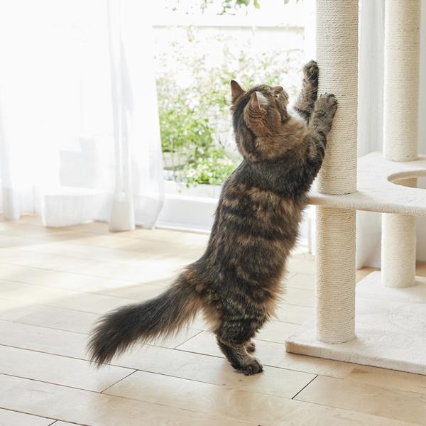 大きな天井ベッドのハイタワー（高さ171cm　据え置き型　多頭飼い　大型猫） 丈夫な麻縄柱。長くお使いいただけるように替え柱も販売しております。