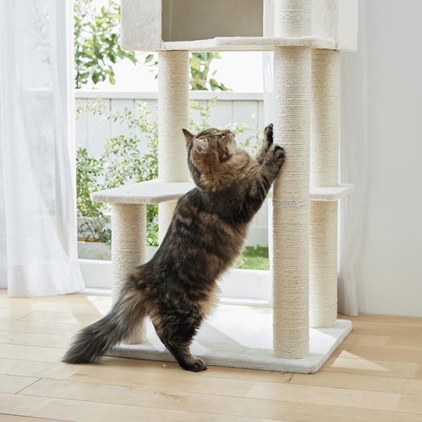 ゆったりハンモックスリムタワー（高さ155cm　据え置き型　スリム　ハウス） 最長71cmの麻縄柱。爪とぎ柱の長さがすべて一緒なので、ボロボロになったところと入れ替えて一台を長く使えます。