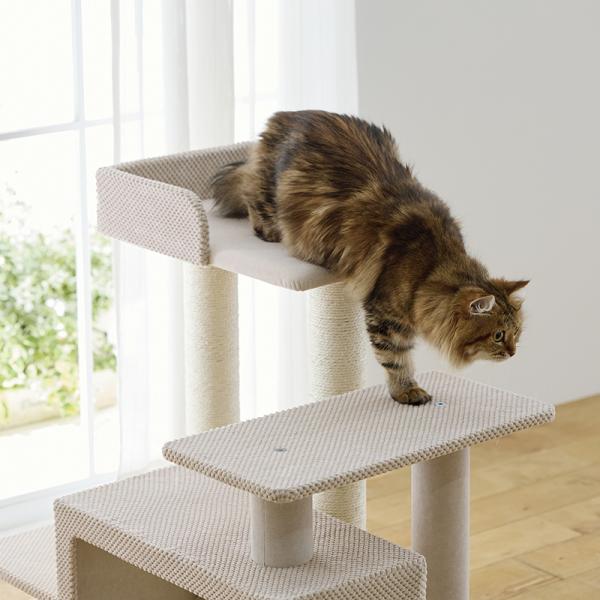 シニア猫にやさしいローステップタワー（高さ72cm 据え置き型 シニア猫 子猫） 天井ベッドはつまずく段差のない、バリアフリー