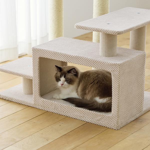 シニア猫にやさしいローステップタワー（高さ72cm 据え置き型 シニア猫 子猫） 隠れながらくつろげるBOX