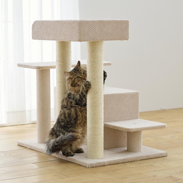 シニア猫にやさしいローステップタワー（高さ72cm 据え置き型 シニア猫 子猫） 