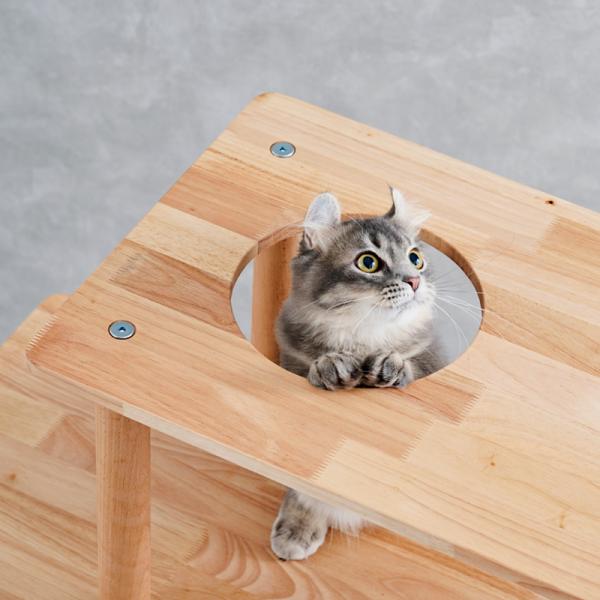 天然木のキャットシェルフ（高さ86cm 据え置き型 天然木） 登り降りが楽しい通り穴。