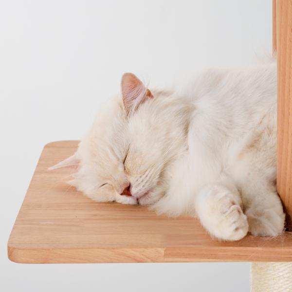 天然木のキャットシェルフ（高さ86cm 据え置き型 天然木） 年中快適で夏も涼しい。肌ざわりも良く、まったり過ごせます。