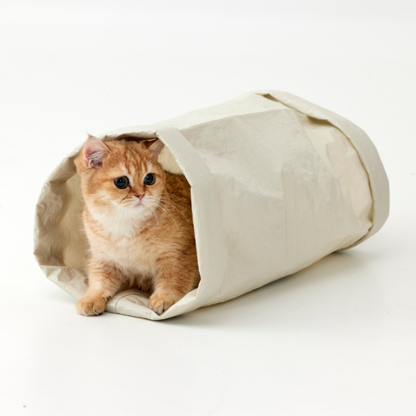 安心ノンワイヤーのにゃんこトンネル かくれんぼベージュ