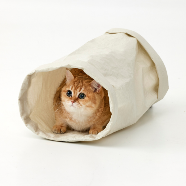 安心ノンワイヤーのにゃんこトンネル かくれんぼベージュ