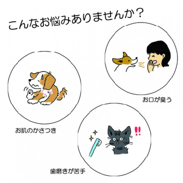 η（イ－タ）forペット マルチケアジェル 