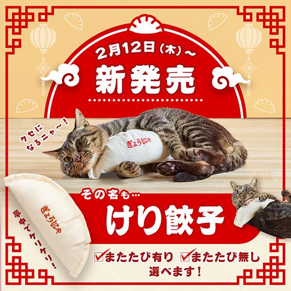 けり餃子 つ、ついに発売にゃ〜！！夢の巨大餃子。