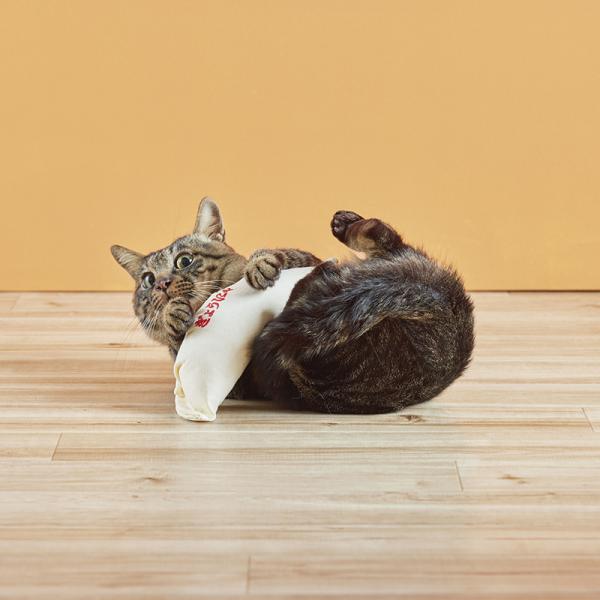 【募金付き】けり餃子 またたび有り（刺繍レッド）
