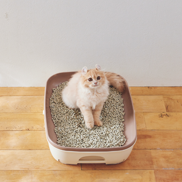 ★マジカルサンド　超清潔　システムトイレ用 