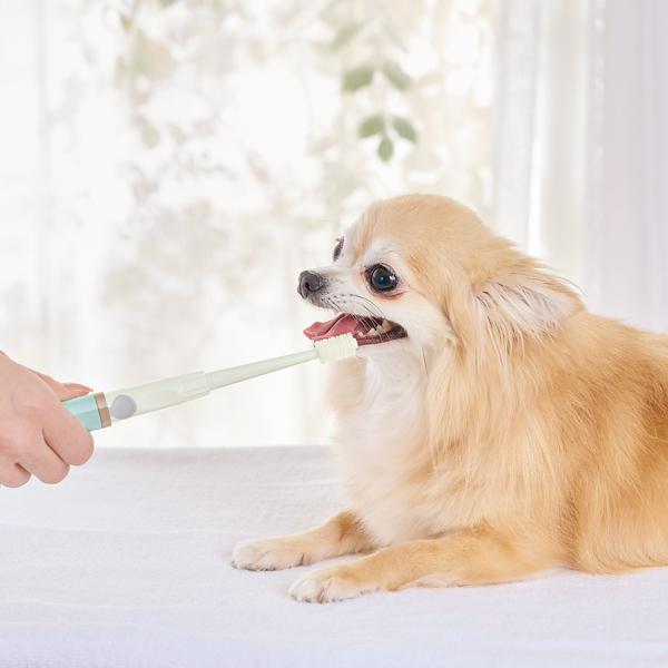 超音波歯ブラシ　ＢＯＯＯＯＭプロ 