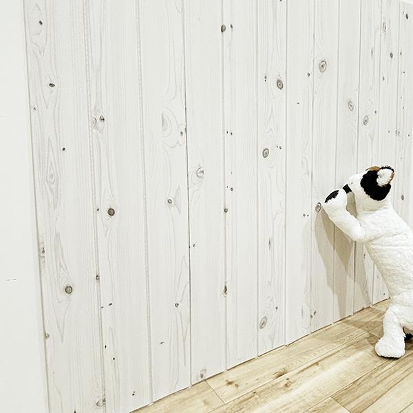 引っ掻き防止クッションシート ホワイト/本体 「爪とぎは出来ないけど、ツルっとしてるし柔らかいし触りたくなるわね」と興味津々のお母さん猫