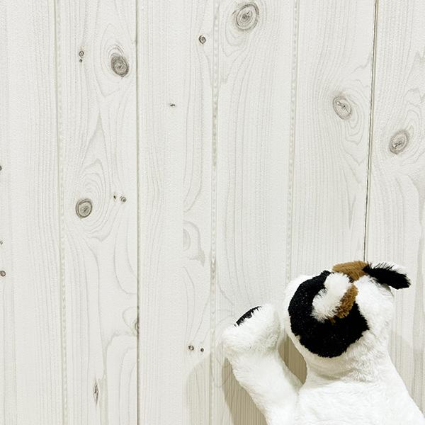 引っ掻き防止クッションシート ホワイト/本体 「あらやだ！爪研ぎできないわ～でもＯＫ！」と残念な気持ちもありつつ、大人なので気持ちを切り替える事ができるお母さん猫