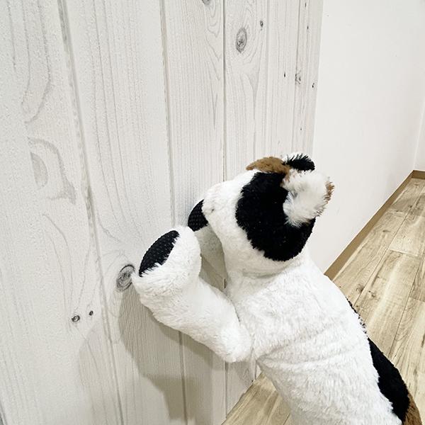 引っ掻き防止クッションシート ホワイト/本体 「いつものようにバリバリ爪研ぐわよ～！」と意気込むお母さん猫