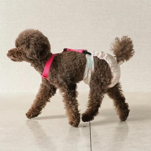 ズレヘンダー ピンク