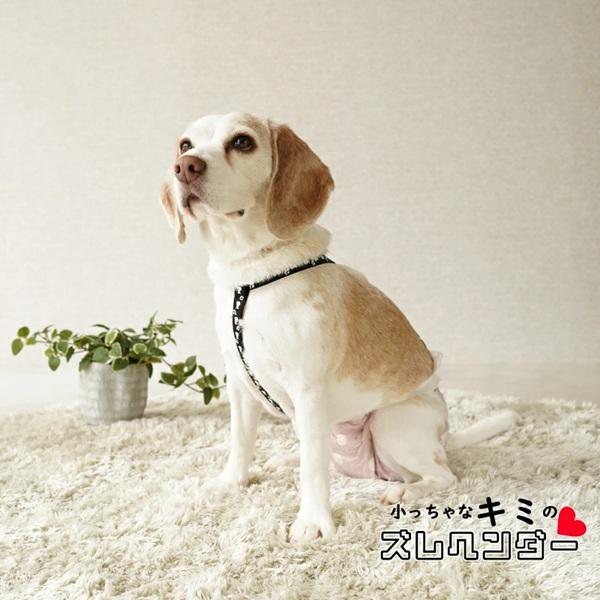 小っちゃなキミのズレヘンダー 