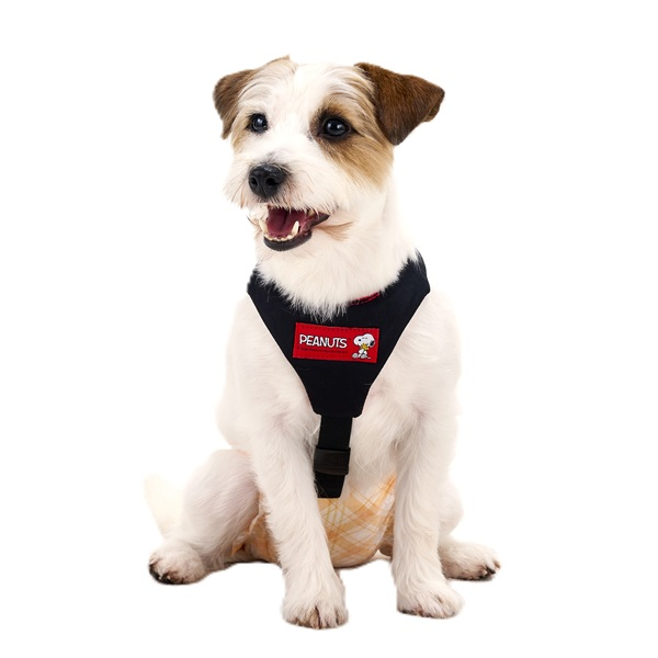 フィットＬＯＶＥズレヘンダー 