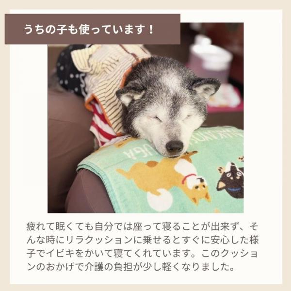 リラクッション 