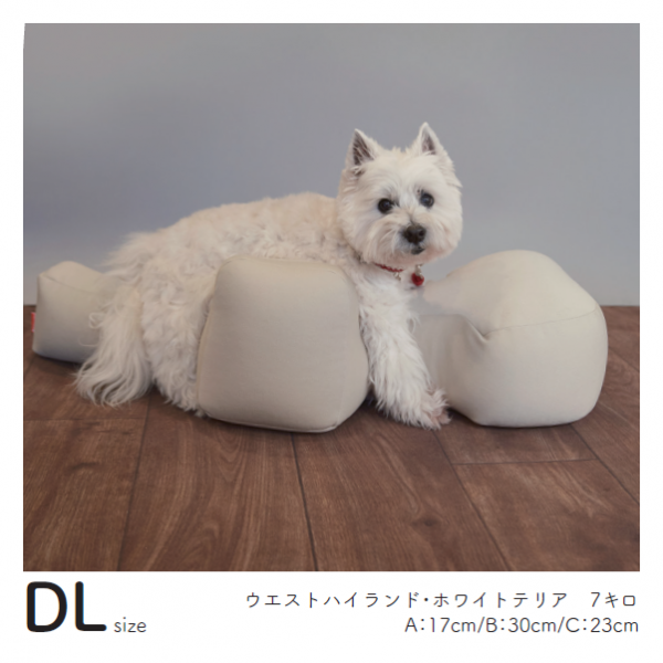 リラクッション DLサイズ（実際の商品はブラウンになります）<br>※画像の色は販売しておりません