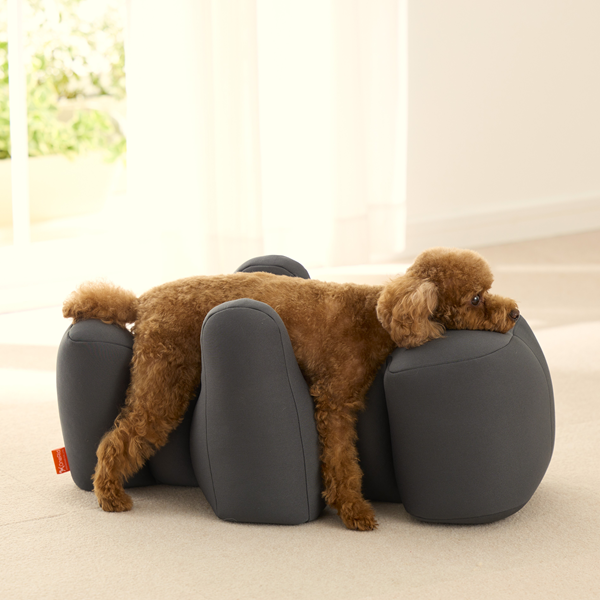 リラクッション トイプードルサイズ