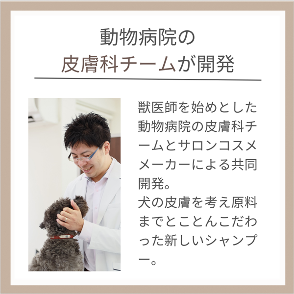 慶和シャンプー 