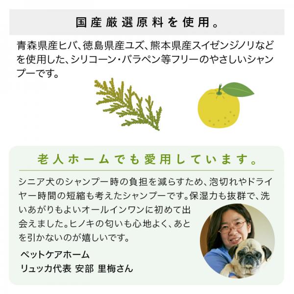 慶和シャンプー 