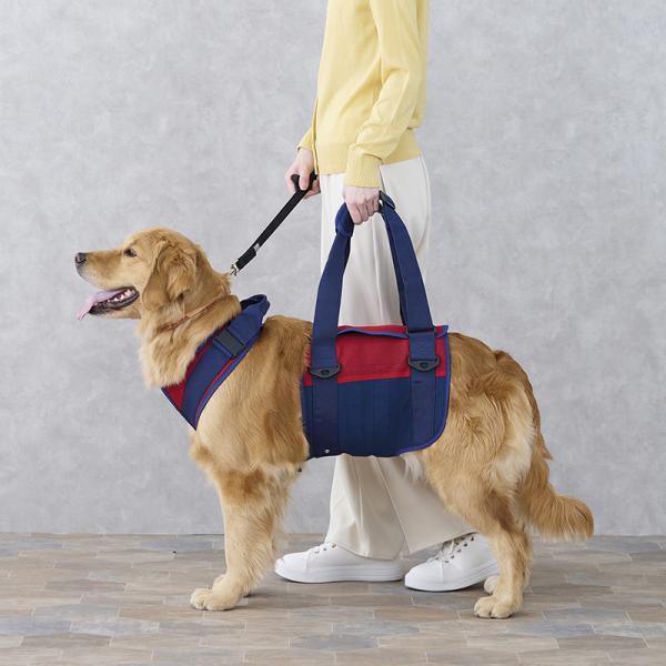 歩行補助ハーネスＬａＬａＷａｌｋ大型犬用 