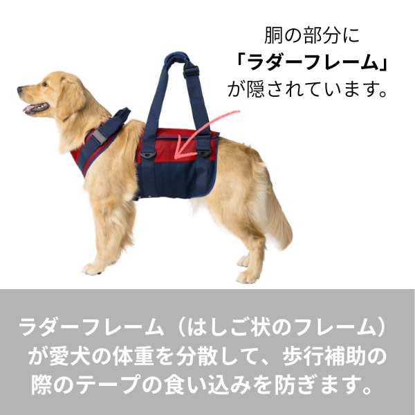 歩行補助ハーネスＬａＬａＷａｌｋ大型犬用 
