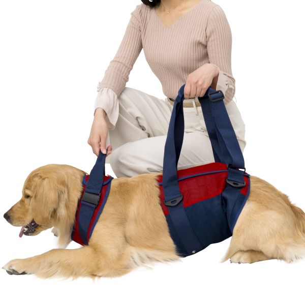 歩行補助ハーネスＬａＬａＷａｌｋ大型犬用 立たせる時に首の部分が持てるよう、ネックベルトが付いています。