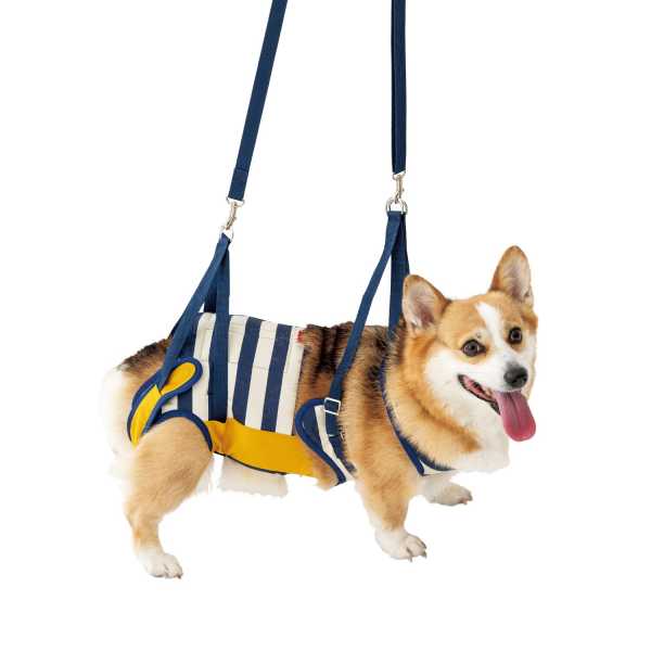 歩行補助ハーネスＬａＬａＷａｌｋ中型犬用 