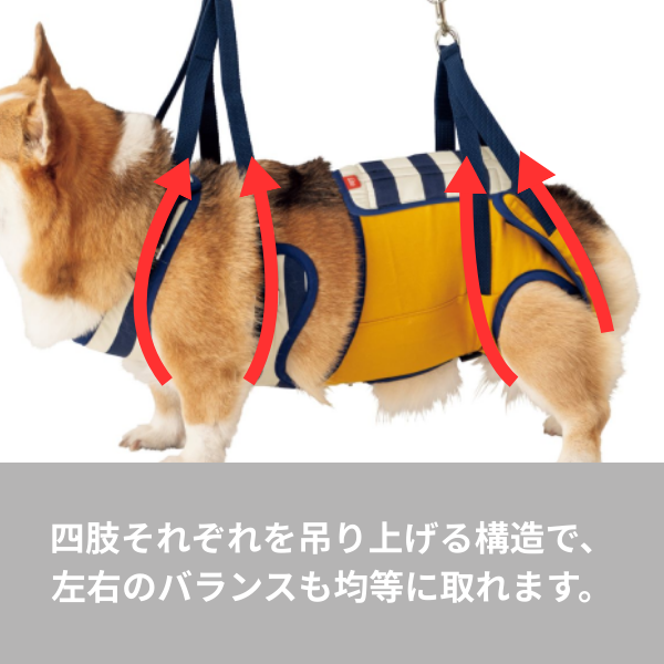 歩行補助ハーネスＬａＬａＷａｌｋ中型犬用 