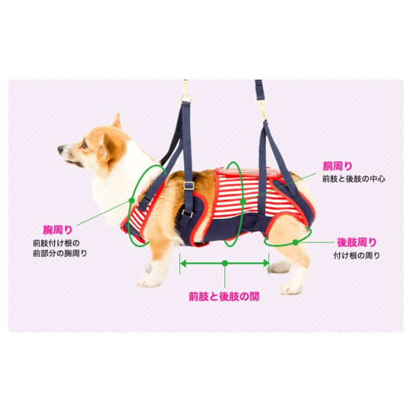 歩行補助ハーネスＬａＬａＷａｌｋ中型犬用 ※画像の色柄は販売しておりません。