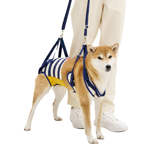 歩行補助ハーネスＬａＬａＷａｌｋ中型犬用 柴犬も着用できます。
