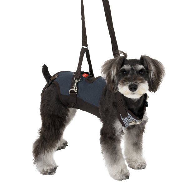 歩行補助ハーネスＬａＬａＷａｌｋ小型犬用 