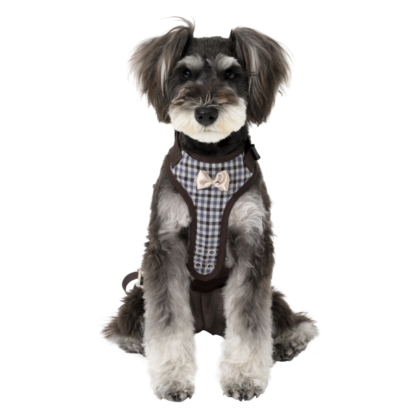 歩行補助ハーネスＬａＬａＷａｌｋ小型犬用 