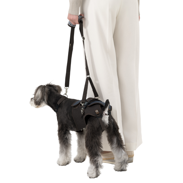 歩行補助ハーネスＬａＬａＷａｌｋ小型犬用 