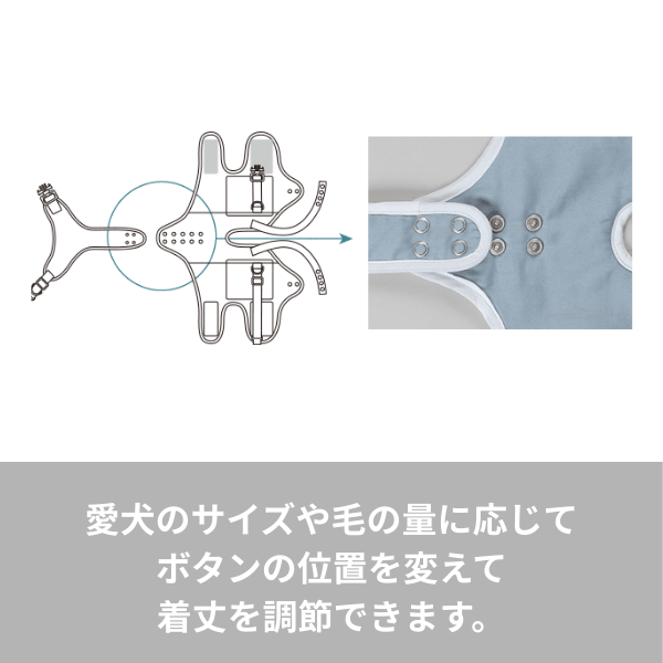 歩行補助ハーネスＬａＬａＷａｌｋ小型犬用 