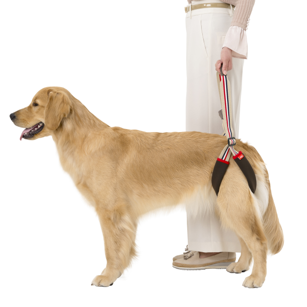 歩行補助ハーネスＬａＬａＷａｌｋＳＴＥＰ 