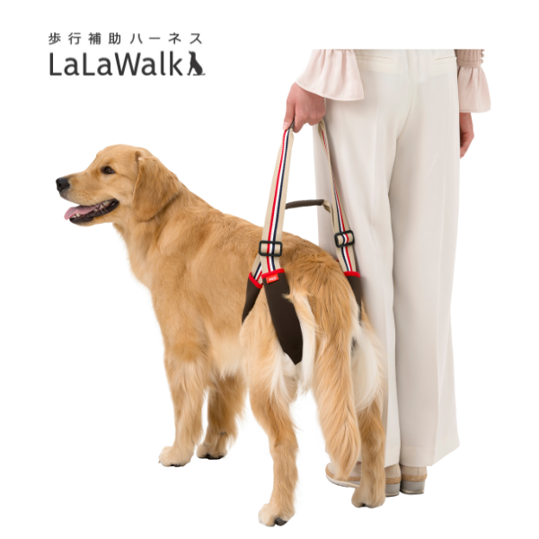 歩行補助ハーネスＬａＬａＷａｌｋＳＴＥＰ 