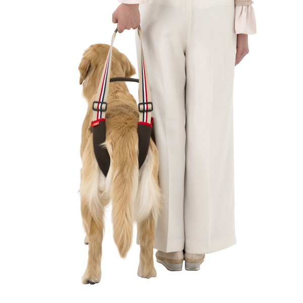 歩行補助ハーネスＬａＬａＷａｌｋＳＴＥＰ 