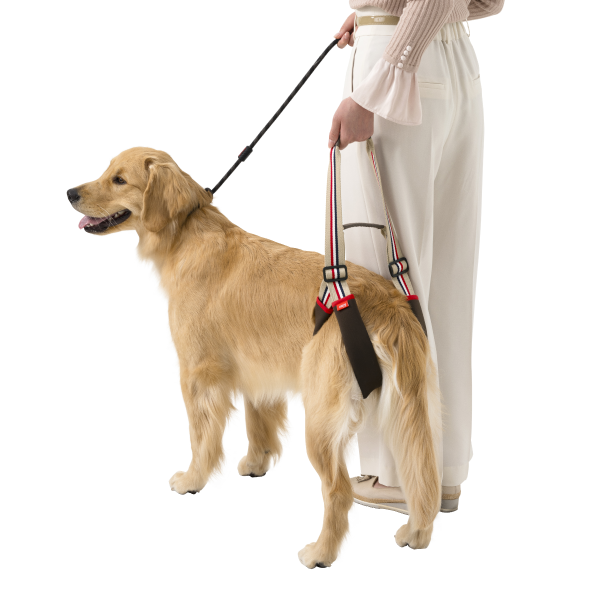 歩行補助ハーネスＬａＬａＷａｌｋＳＴＥＰ 前脚が元気な子は、お手持ちの首輪＆リードも併用することで制御しやすくなります。