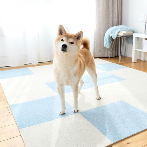 ウィズペットフロア 