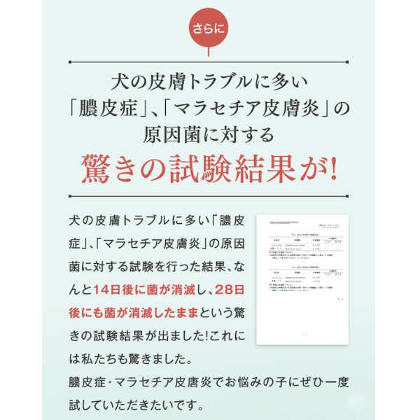 CARESUI（ケアスイ）濃縮温泉水 